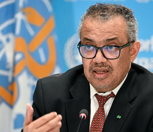 WHO and NCDC downplay Hantavirus risks to General Public