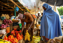 Eating to Survive, Not to Stay Healthy: Nigeria’s Food Reality in 2026
