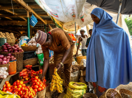 Eating to Survive, Not to Stay Healthy: Nigeria’s Food Reality in 2026