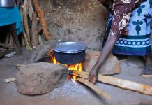 Economic Hardship Deepens as Nigerians Turn to Firewood Amid Rising Energy Costs