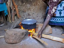 Economic Hardship Deepens as Nigerians Turn to Firewood Amid Rising Energy Costs