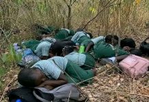 Rising Insecurity in Nigeria: A Grave Threat to Education and Humanity