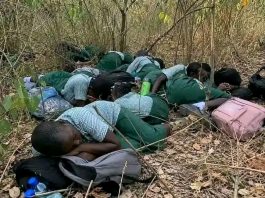 Rising Insecurity in Nigeria: A Grave Threat to Education and Humanity