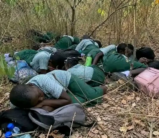 Rising Insecurity in Nigeria: A Grave Threat to Education and Humanity