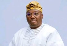 Gunmen Abduct Former Minister Adelabu’s Sister, Twin Children in Ibadan