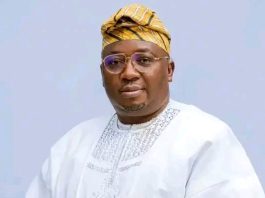 Gunmen Abduct Former Minister Adelabu’s Sister, Twin Children in Ibadan