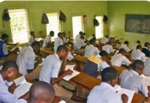 Teacher Killed, NECO Candidates Abducted as Suspected Boko Haram Attacks Borno Community