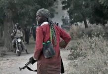 Four Killed, 12 Abducted as Gunmen Raid Sokoto Community