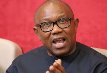 2027: I’ll Negotiate With Bandits Who Seek Peace – Peter Obi