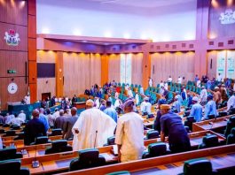 Lawmakers Clash in House Over Proposal to Invite Tinubu on Constituency Project Funding