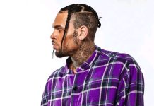 Court Holds Chris Brown Liable Over Housekeeper’s 2020 Dog Attack