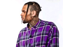 Court Holds Chris Brown Liable Over Housekeeper’s 2020 Dog Attack