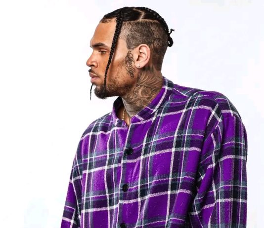 Court Holds Chris Brown Liable Over Housekeeper’s 2020 Dog Attack