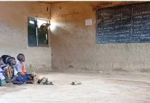Pupils Learn Under Trees, Sit on Bare Ground in Neglected Abuja Rural Schools