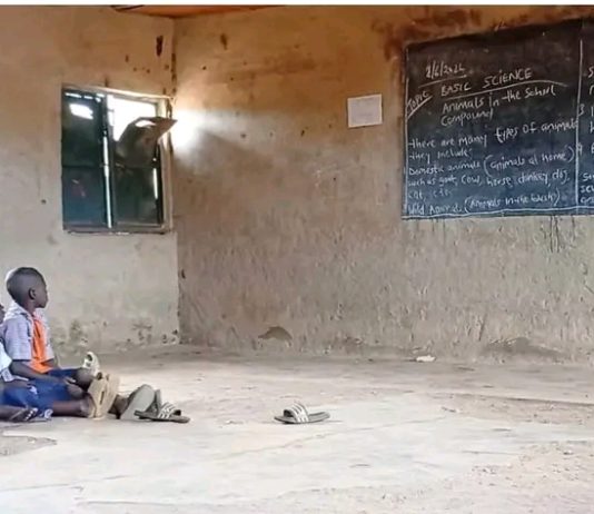 Pupils Learn Under Trees, Sit on Bare Ground in Neglected Abuja Rural Schools