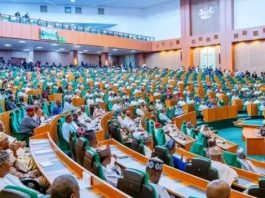 Reps withdraw state police bill to consider Tinubu’s constitutional amendment proposal