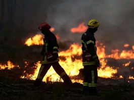 Wildfires in France Force More Than 250,000 People to Evacuate Homes